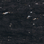Al Huzaifa - Cork Collection