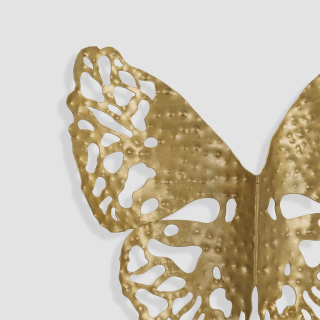 Mariposa