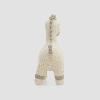 Mini Horse